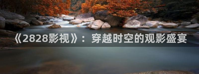 飞马影院下载安装：《2828影视》：穿越时空的观影盛宴