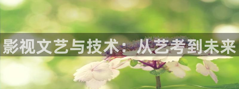 飞马影院下载：影视文艺与技术：从艺考到未来