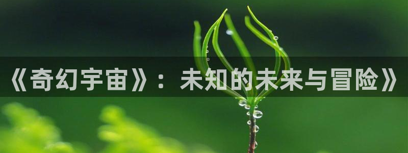 飞马良子影视有限公司：《奇幻宇宙》：未知的未来与冒险》