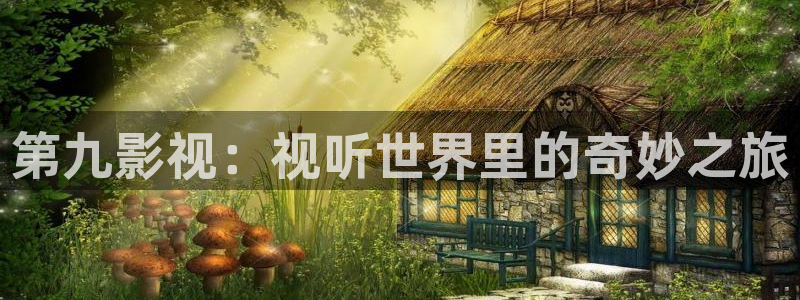 飞马良子影视有限公司：第九影视：视听世界里的奇妙之旅