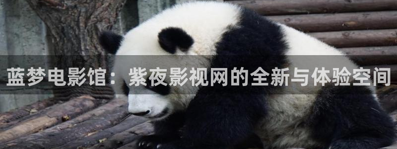 飞马影院app：蓝梦电影馆：紫夜影视网的全新与体验空间