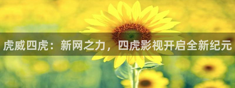 飞马影视电影：虎威四虎：新网之力，四虎影视开启全新纪元